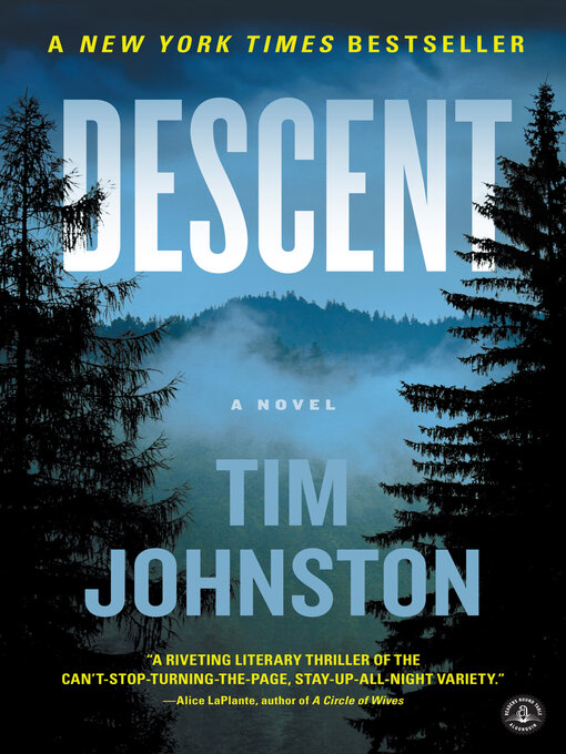 Title details for Descent by Tim Johnston - Wait list